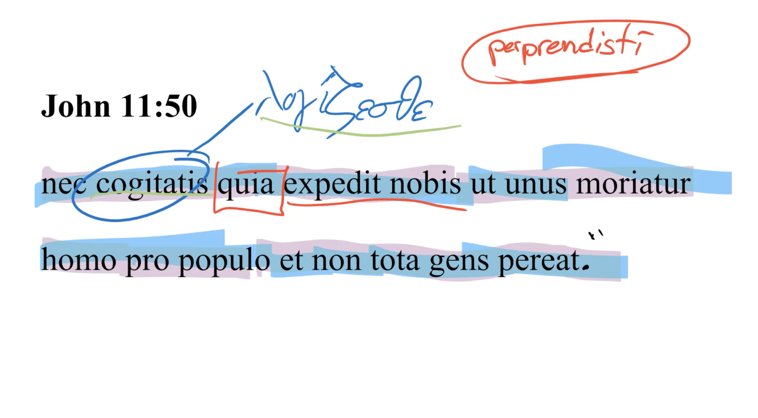 John 11:50 Latin Vulgate