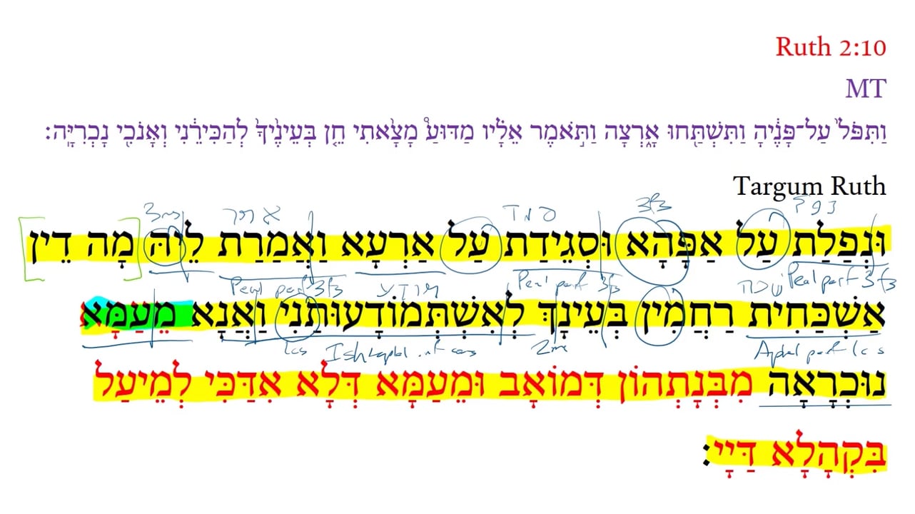 TR Ruth 2:10a