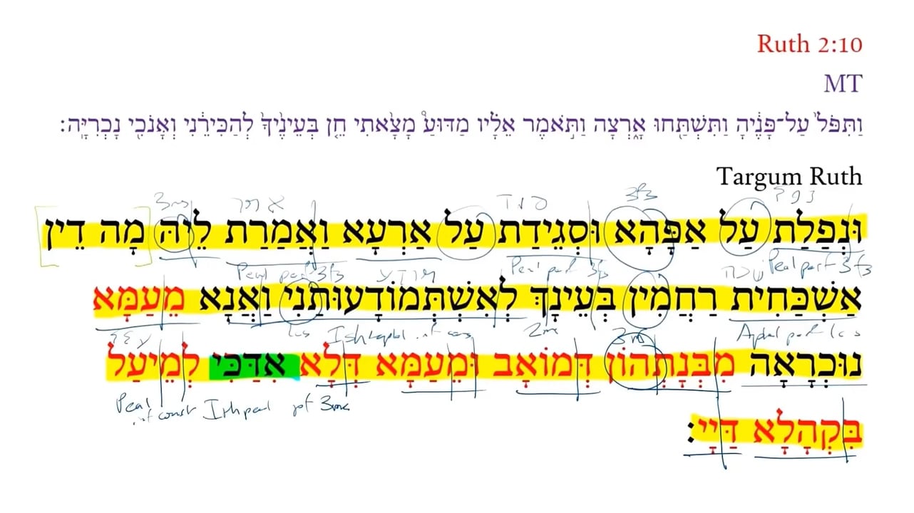 TR Ruth 2:10c