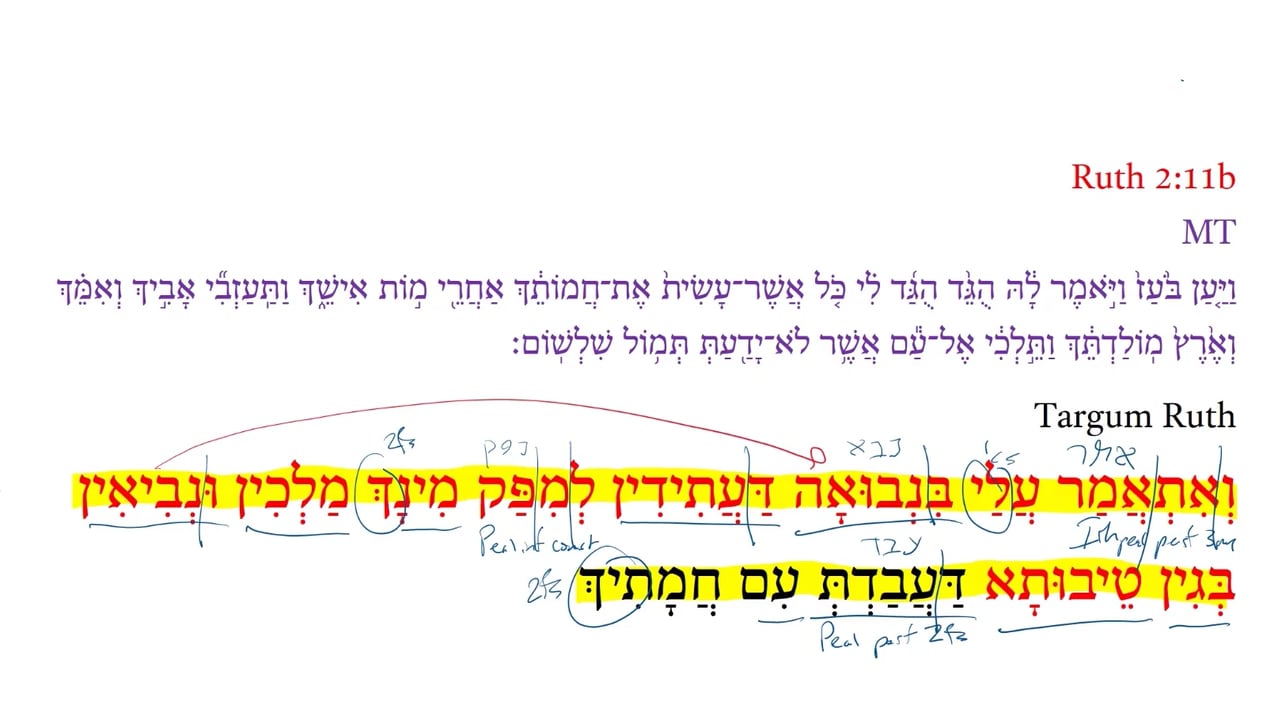 TR Ruth 2:11b