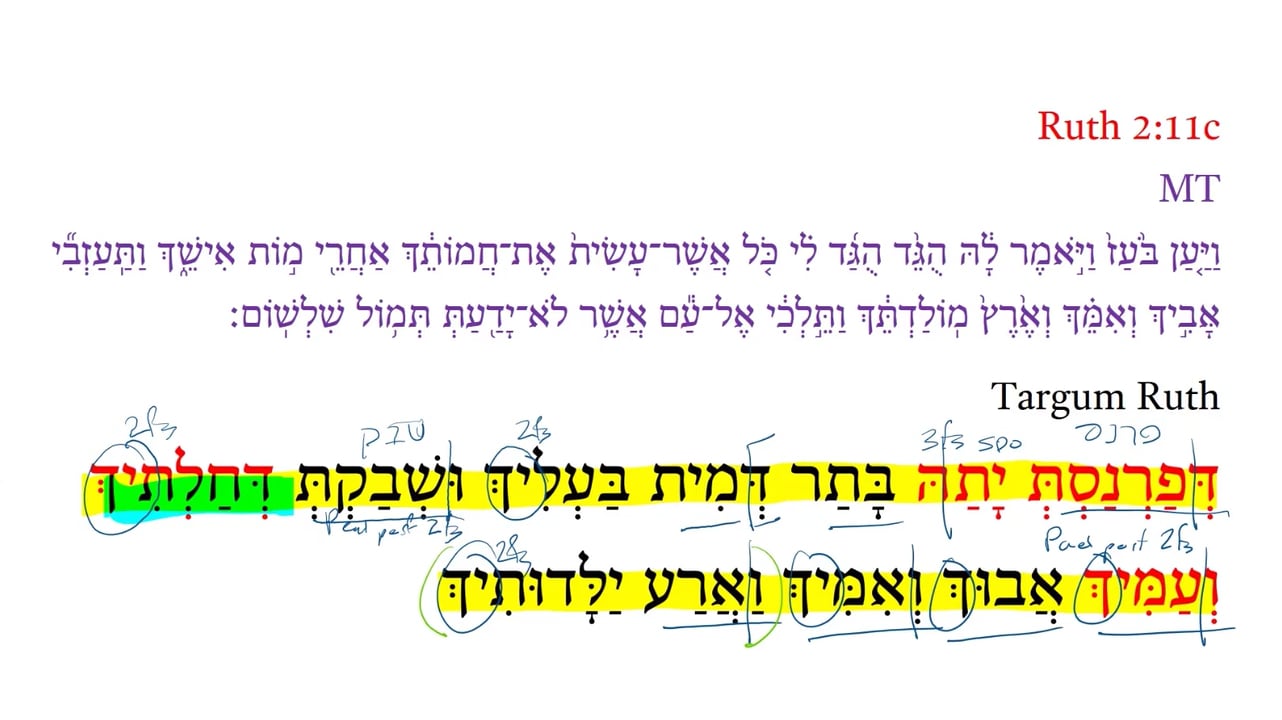 TR Ruth 2:11c
