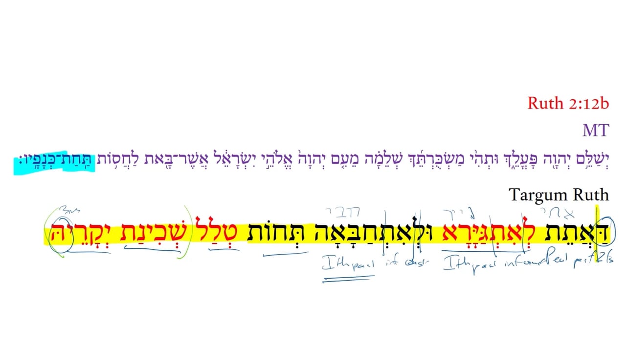 TR Ruth 2:12b