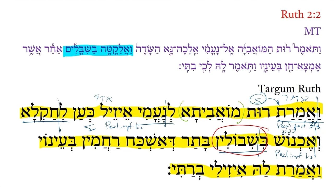 TR Ruth 2:2a