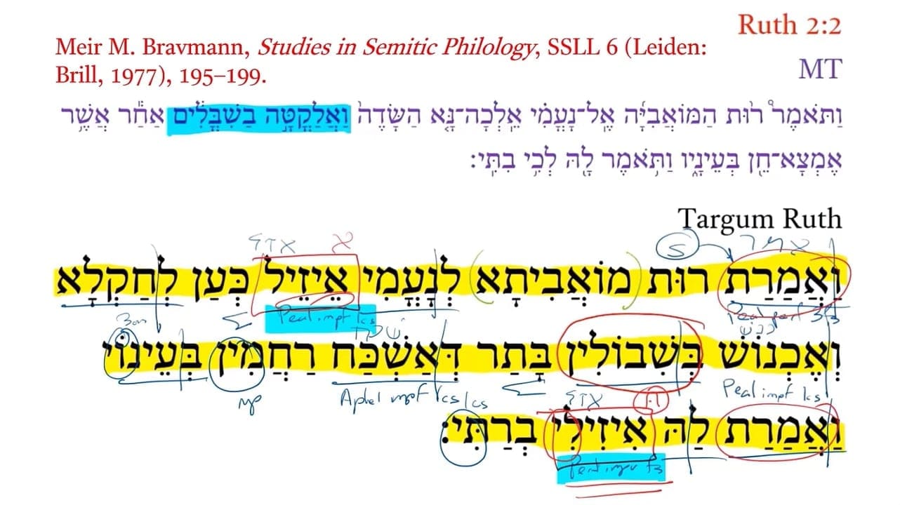 TR Ruth 2:2b