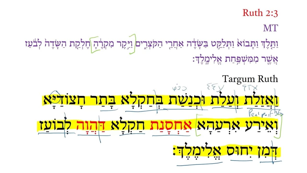 TR Ruth 2:3