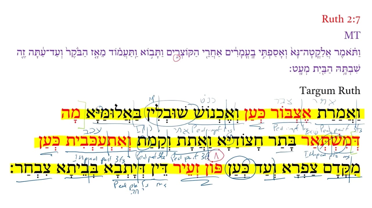TR Ruth 2:7b