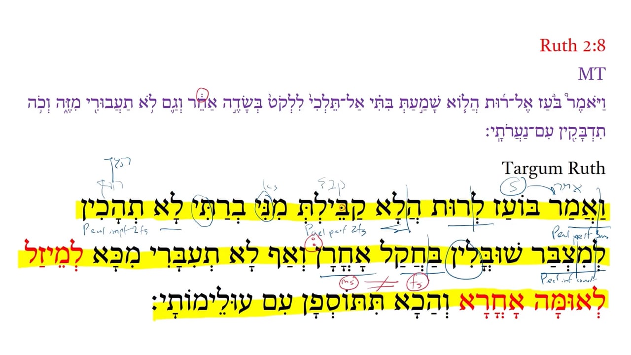 TR Ruth 2:8a