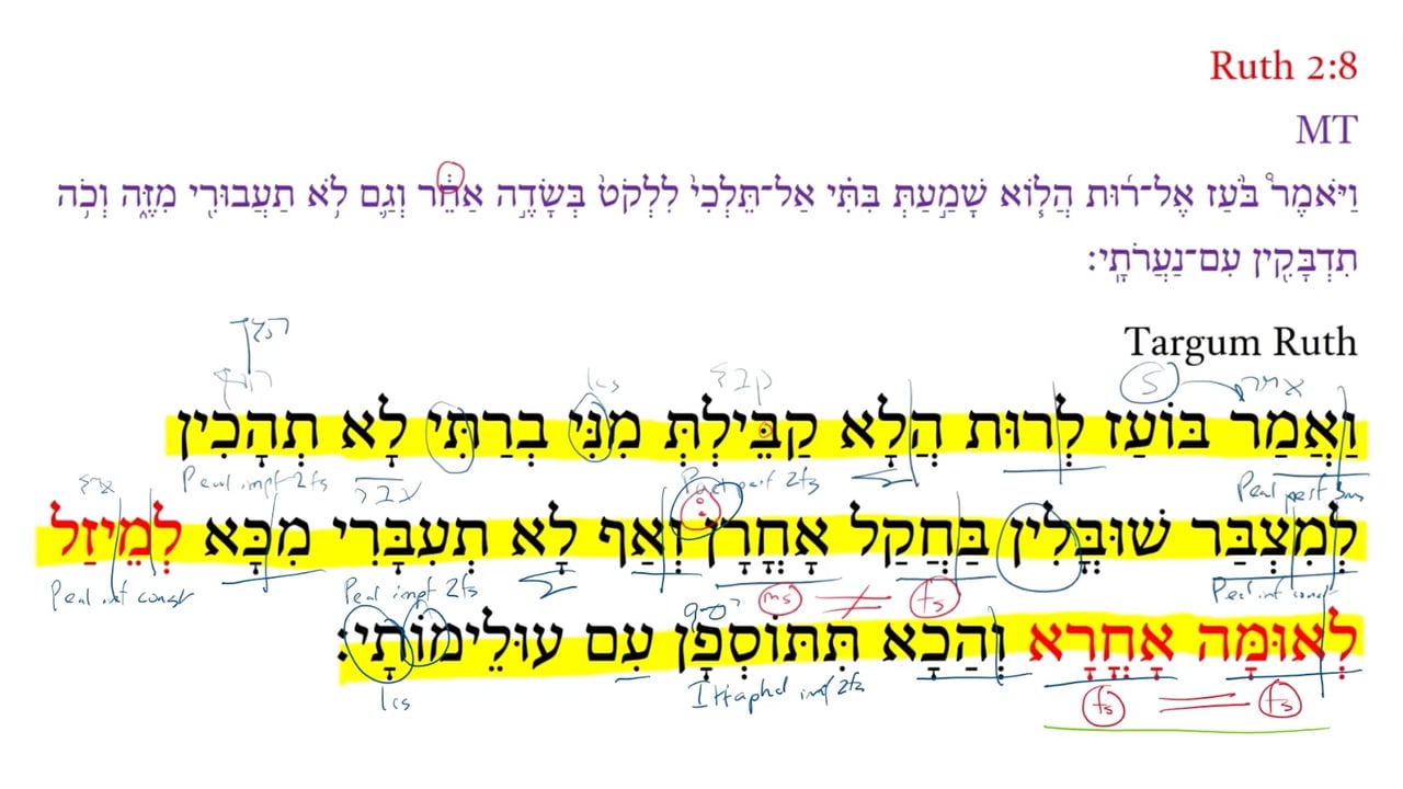TR Ruth 2:8b