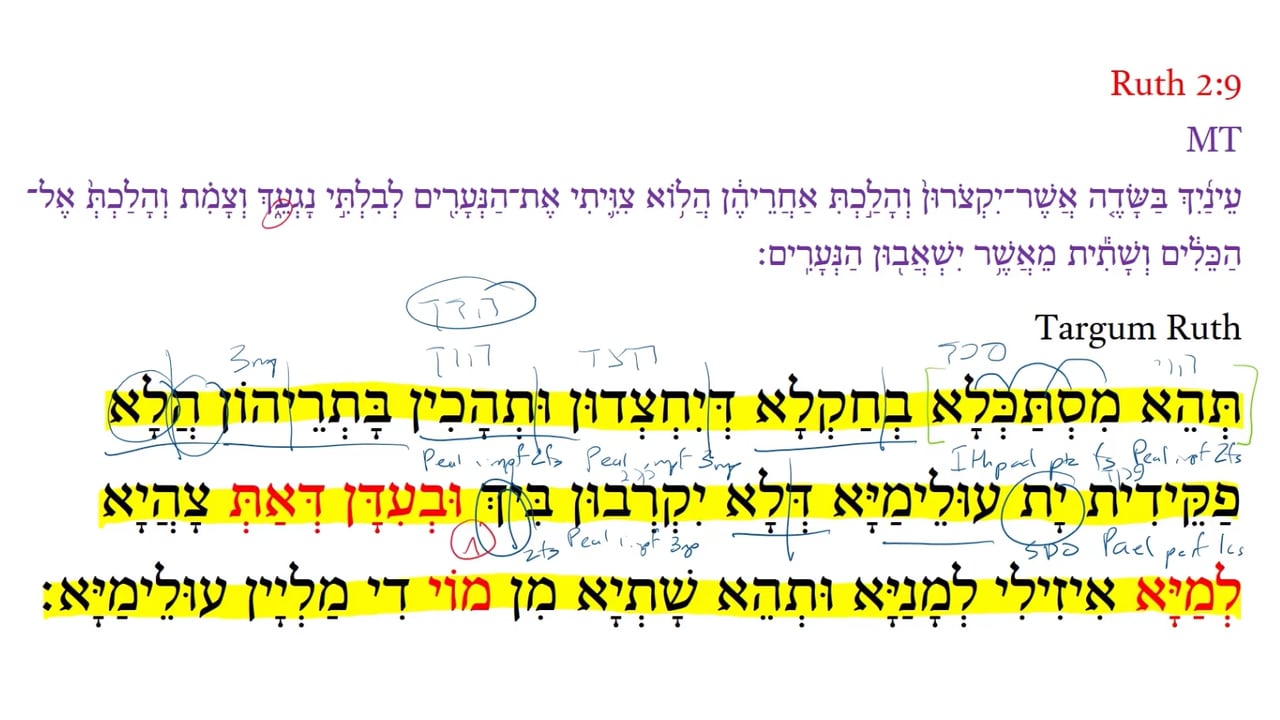 TR Ruth 2:9a