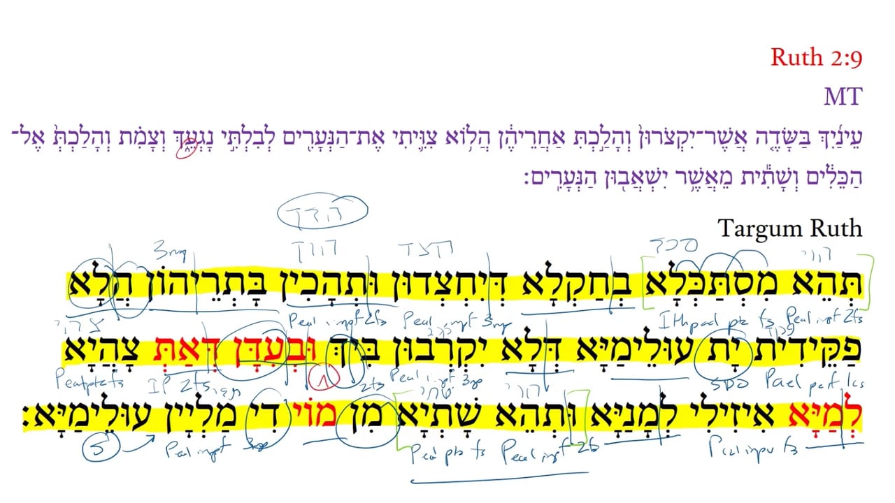 TR Ruth 2:9b