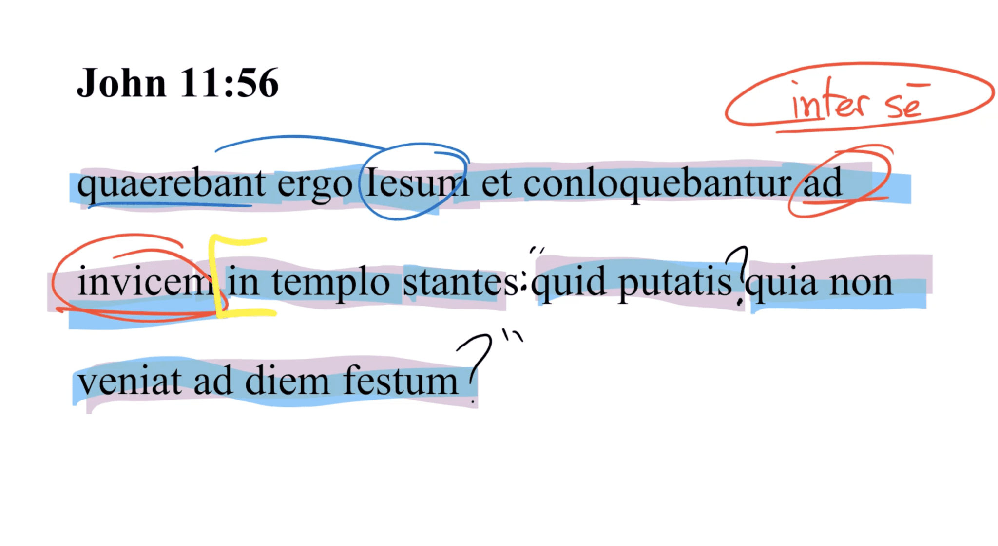 John 11:56 Latin Vulgate