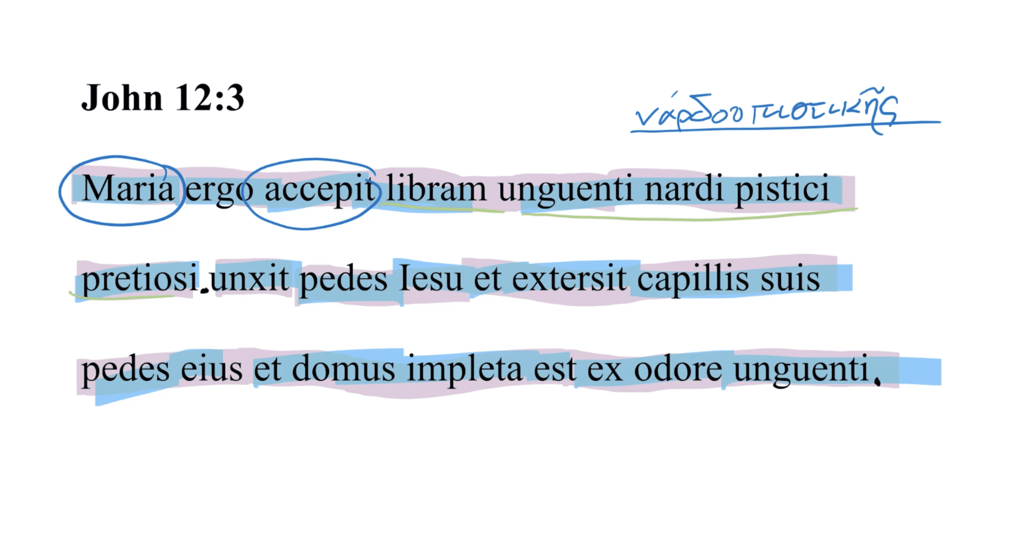 John 12:3 Latin Vulgate
