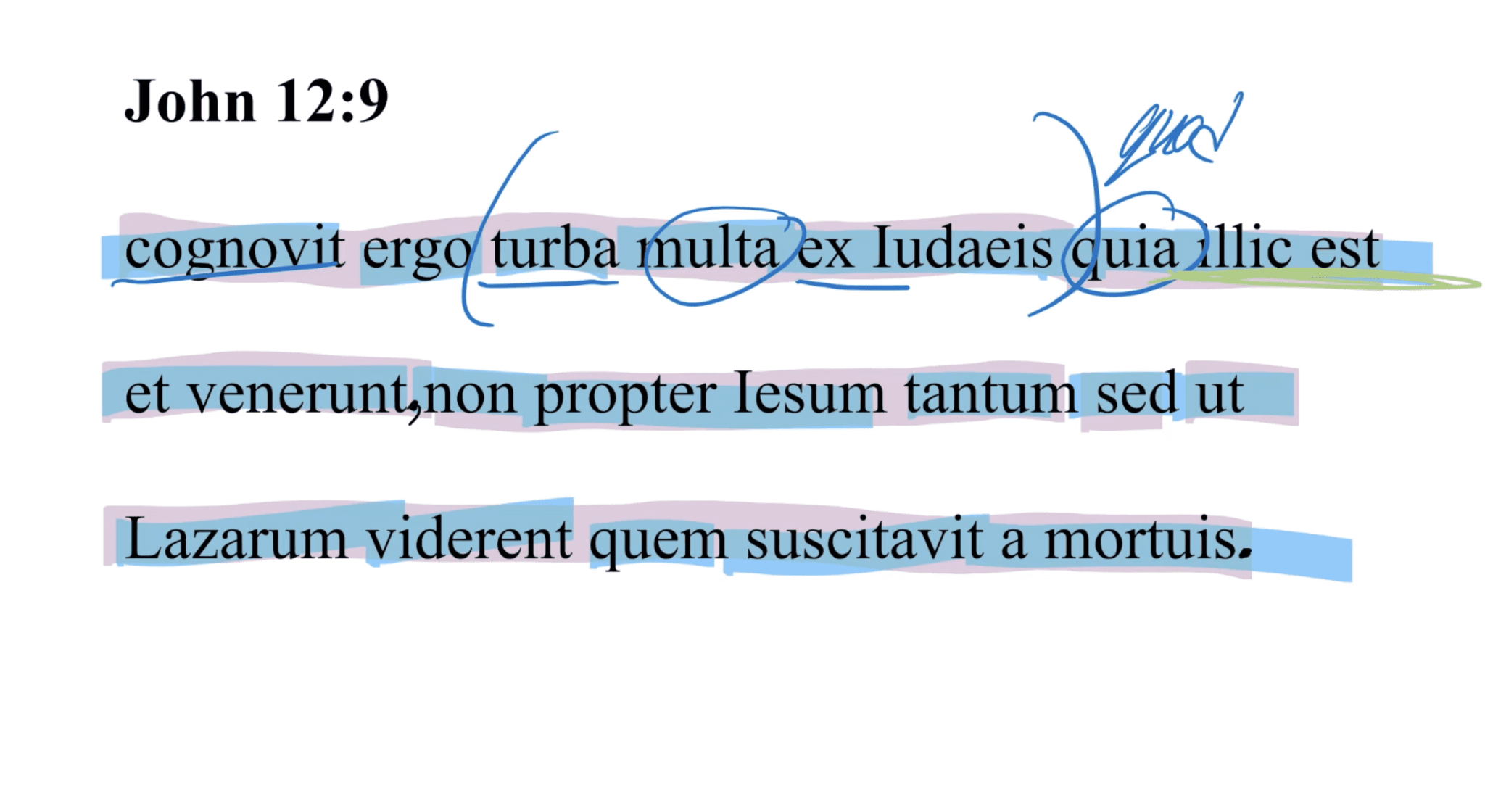 John 12:9 Latin Vulgate