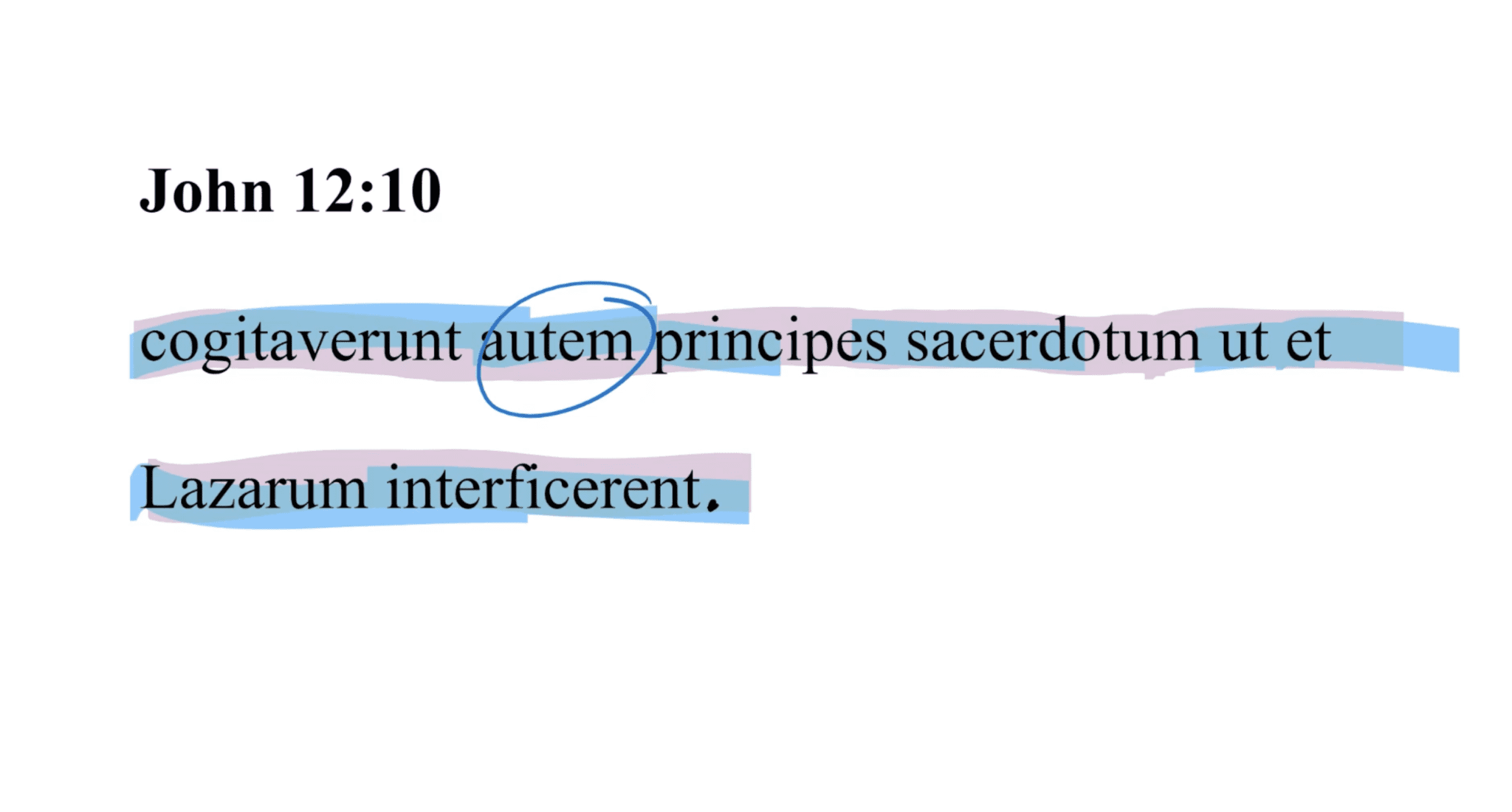 John 12:10 Latin Vulgate