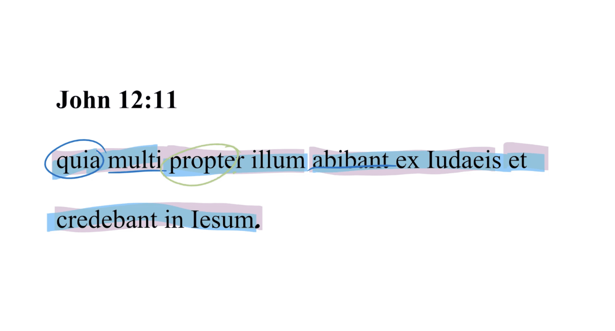 John 12:11 Latin Vulgate