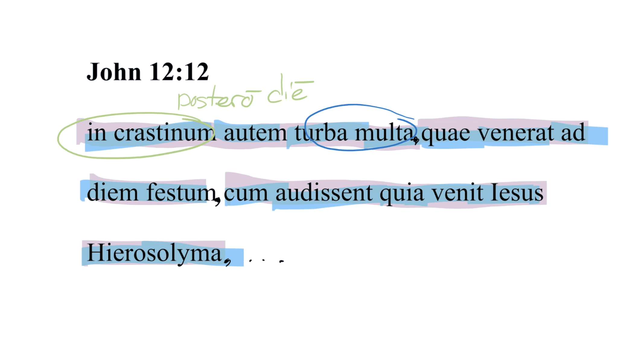 John 12:12 Latin Vulgate