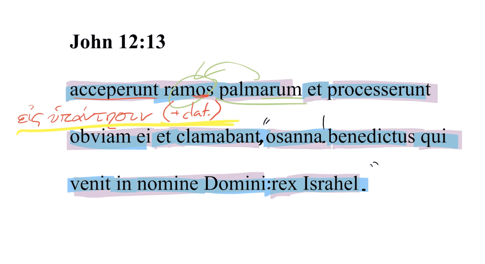 John 12:13 Latin Vulgate
