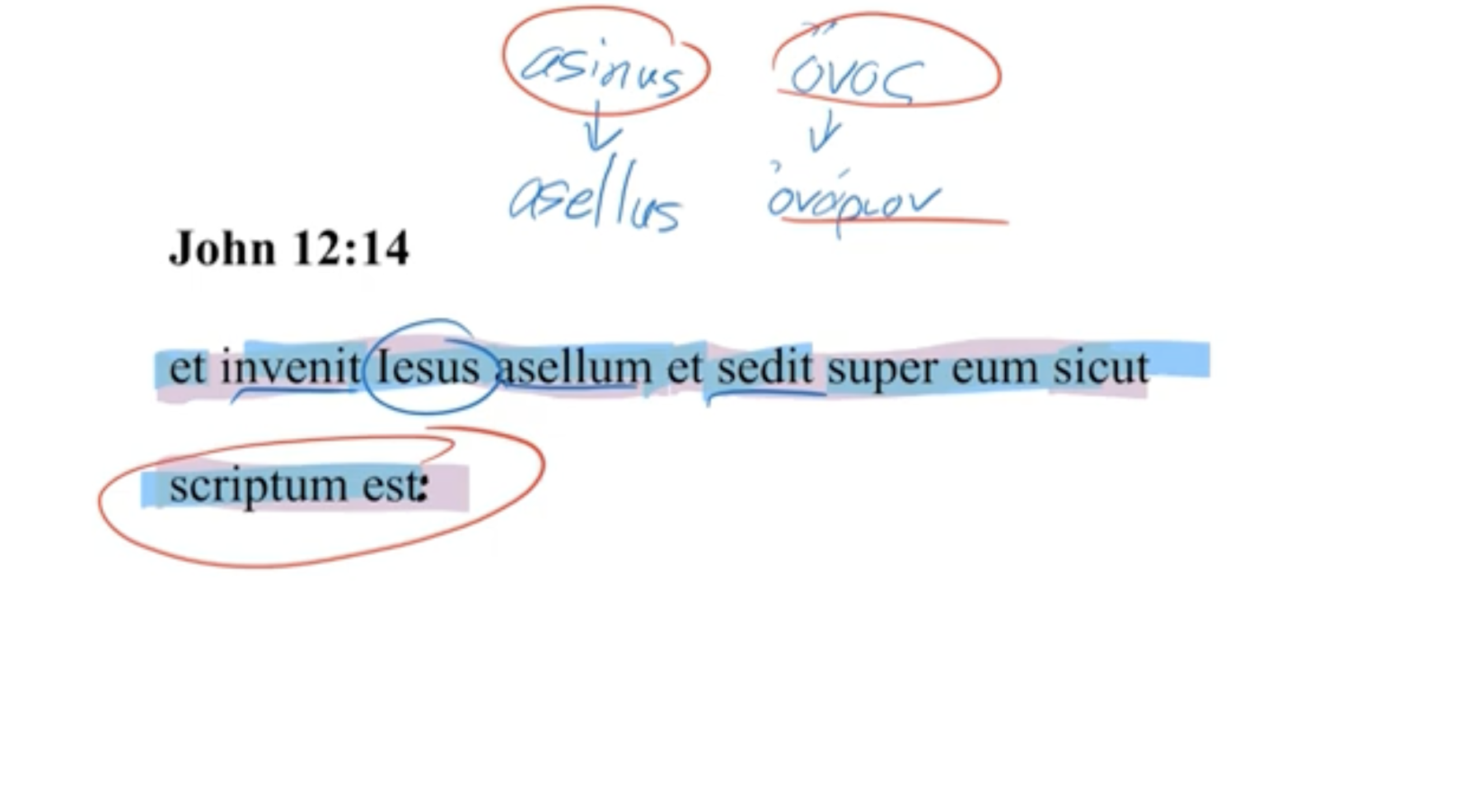 John 12:14 Latin Vulgate
