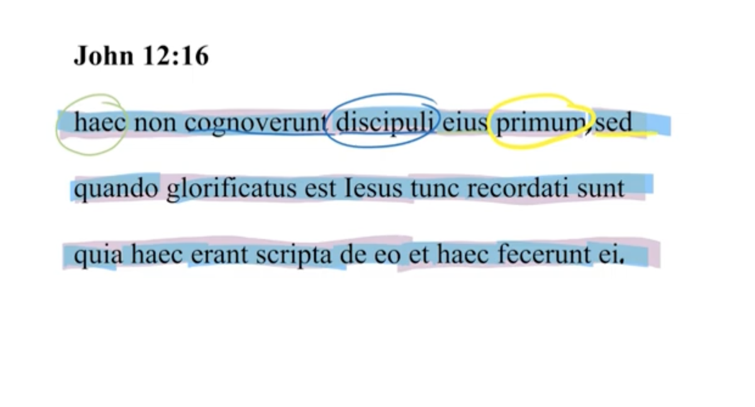 John 12:16 Latin Vulgate