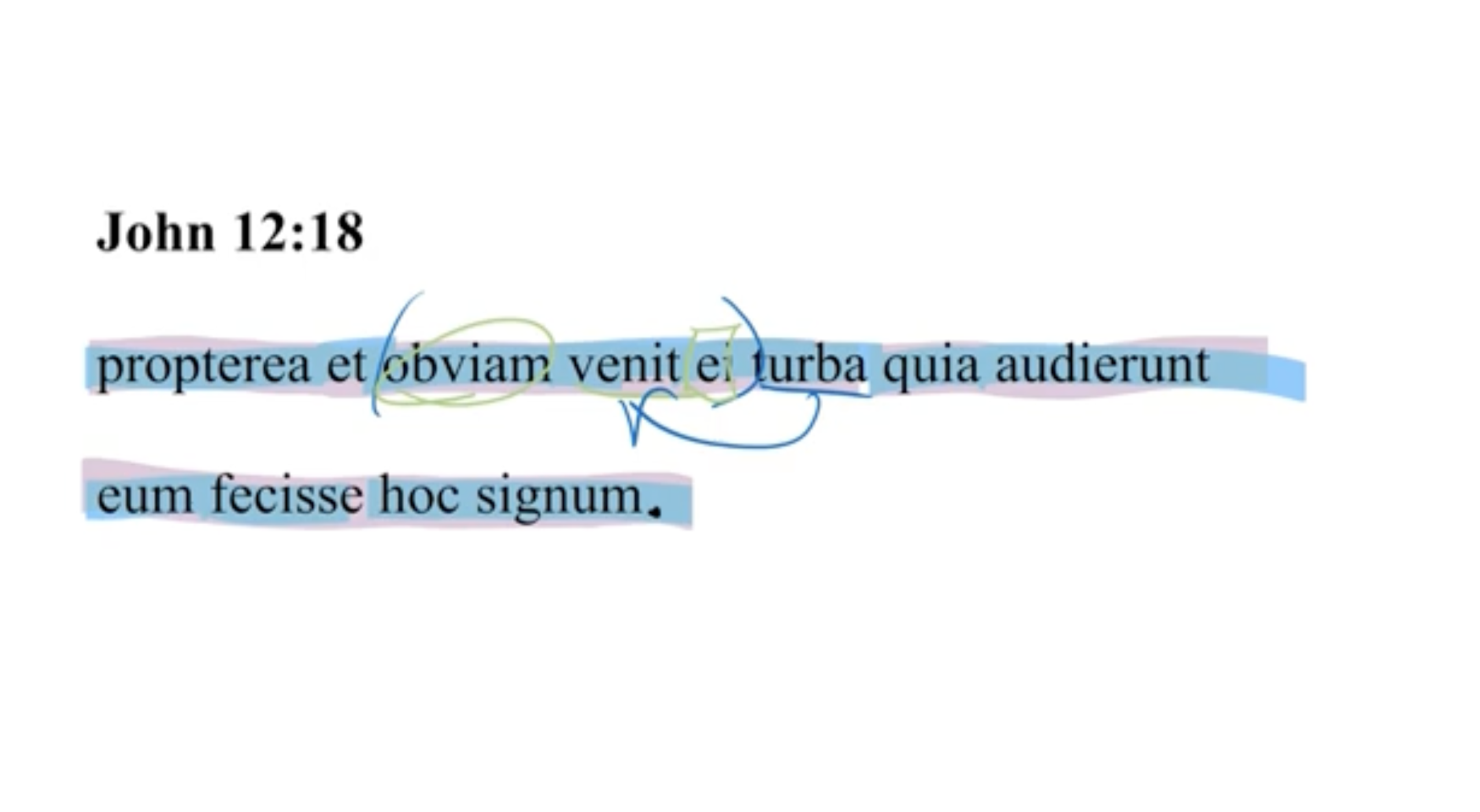John 12:18 Latin Vulgate