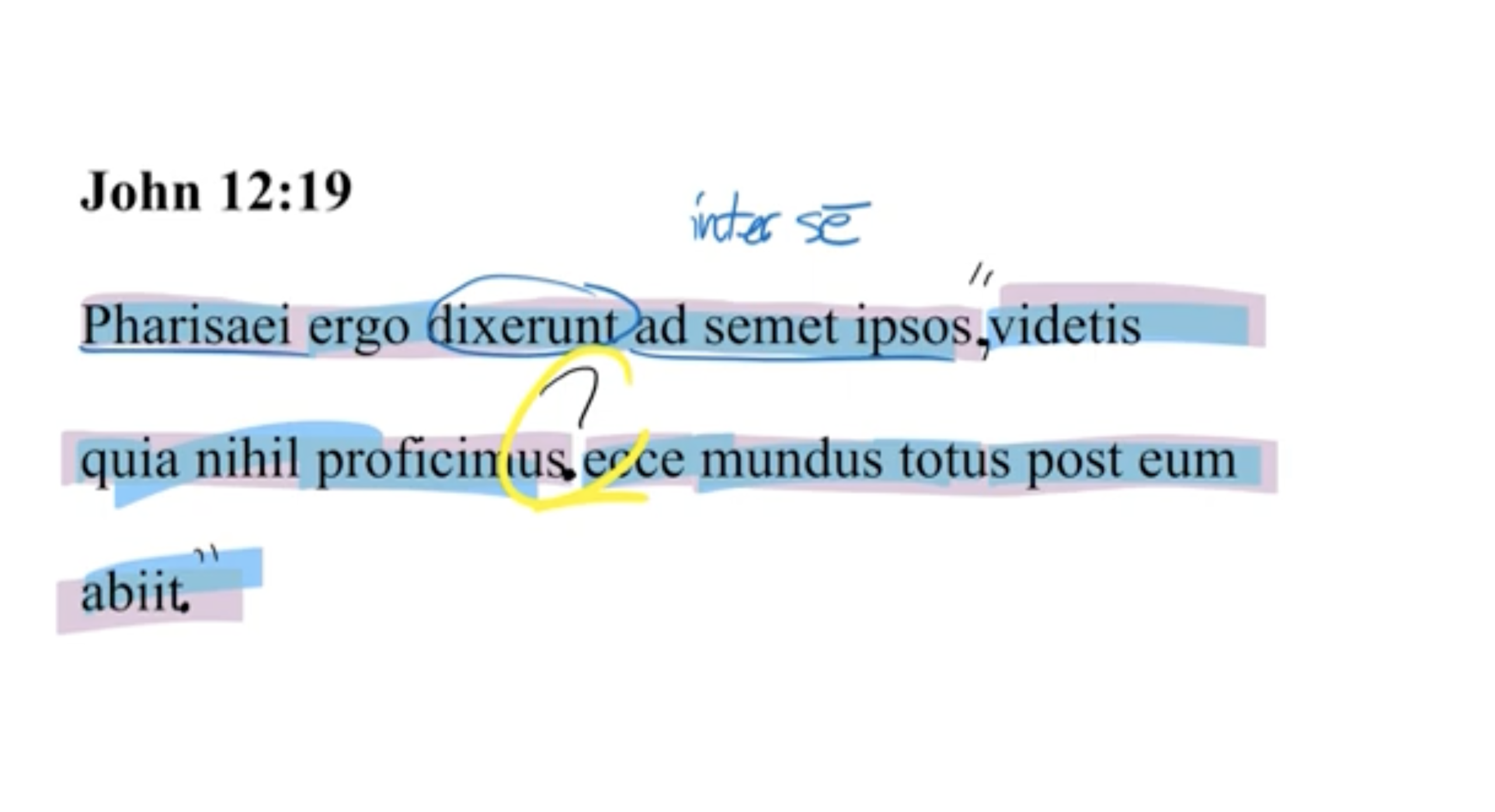 John 12:19 Latin Vulgate