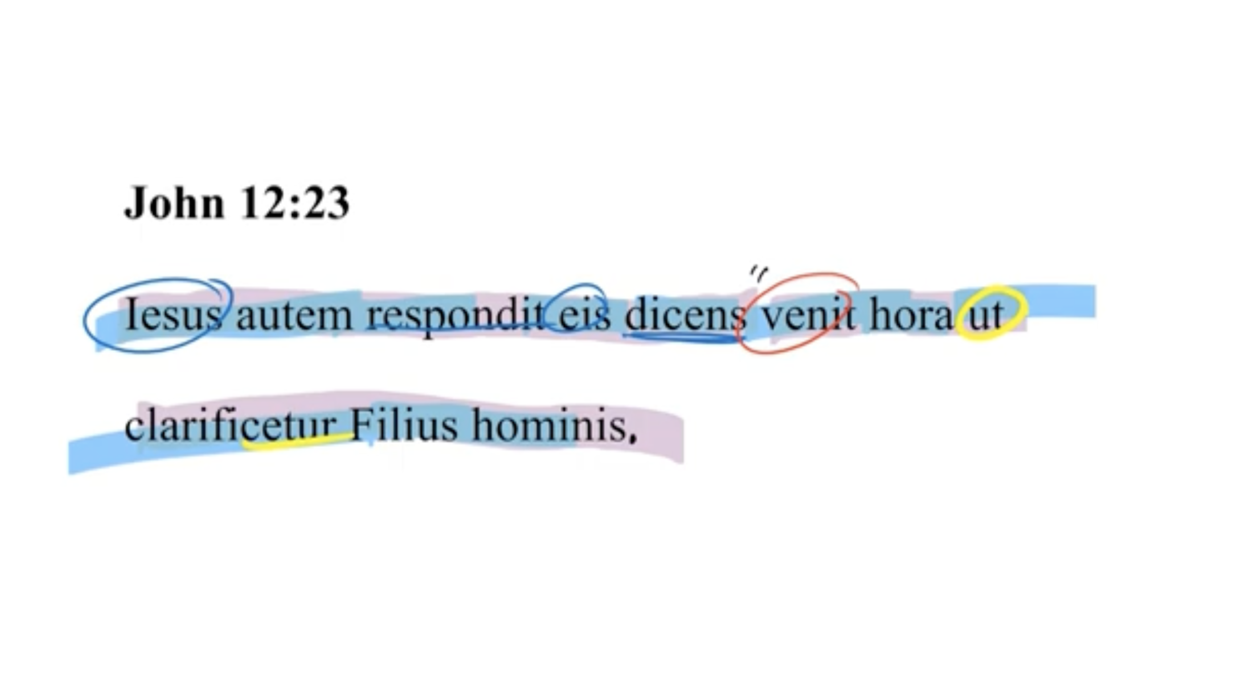John 12:23 Latin Vulgate