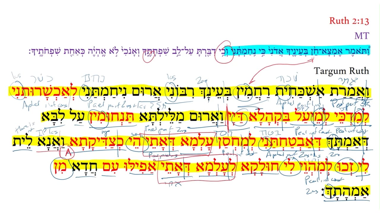 TR Ruth 2:13c
