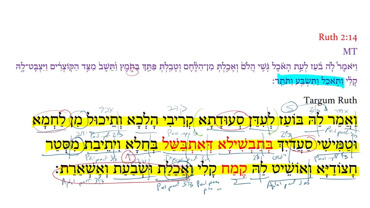 TR Ruth 2:14b