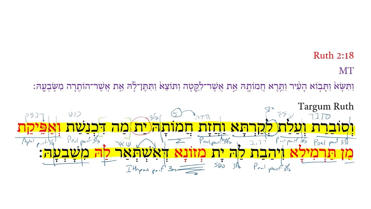 TR Ruth 2:18a