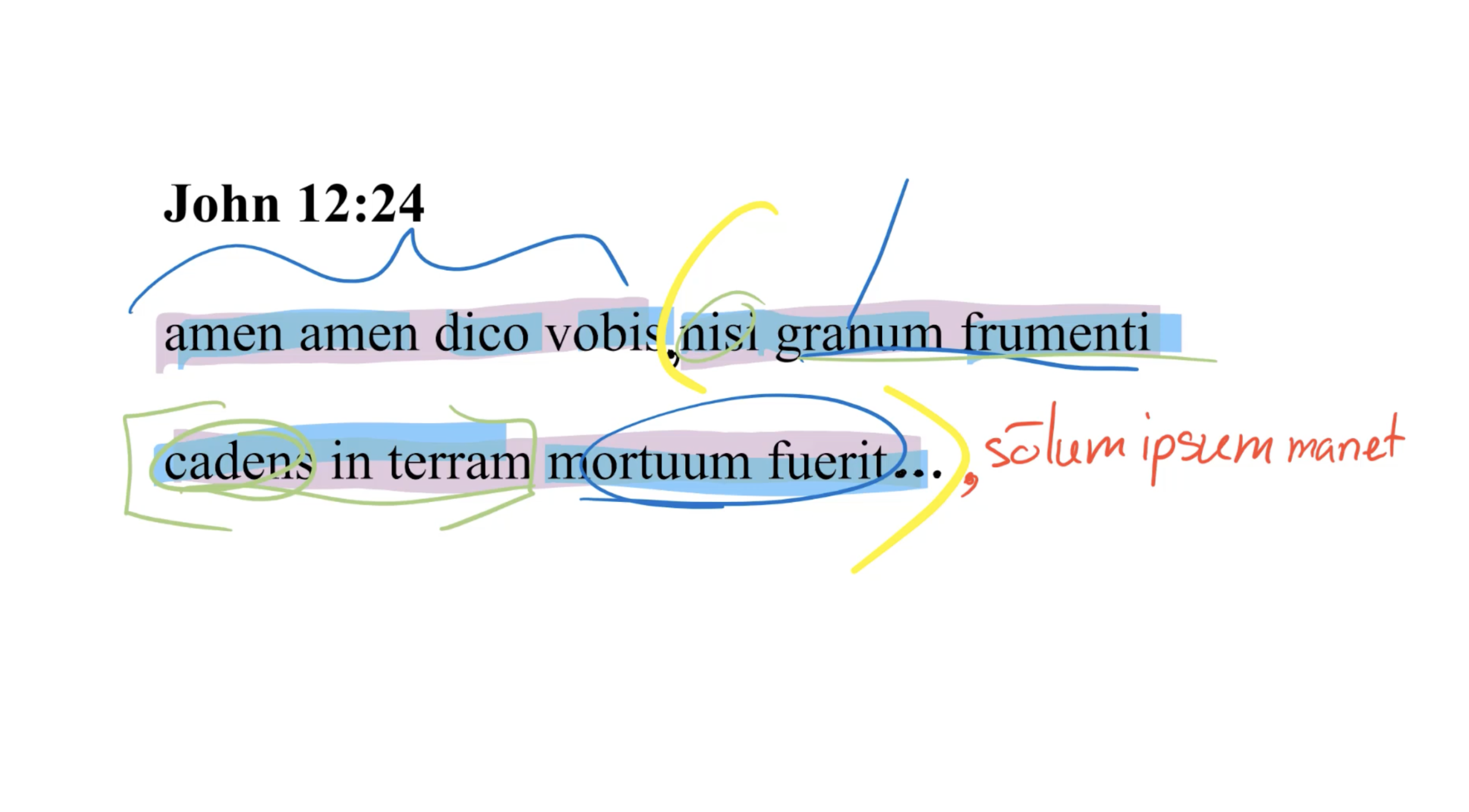 John 12:24 Latin Vulgate