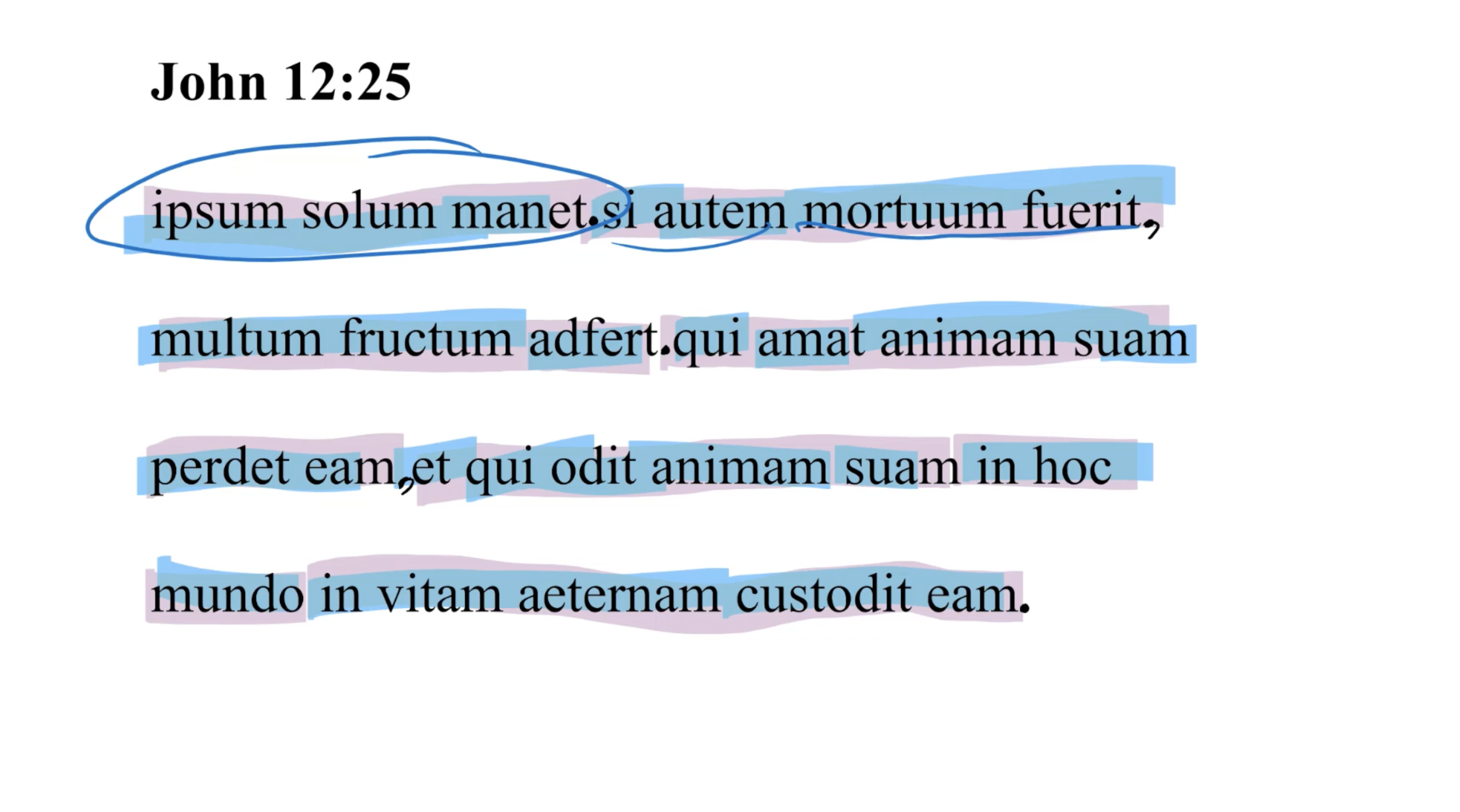 John 12:25 Latin Vulgate