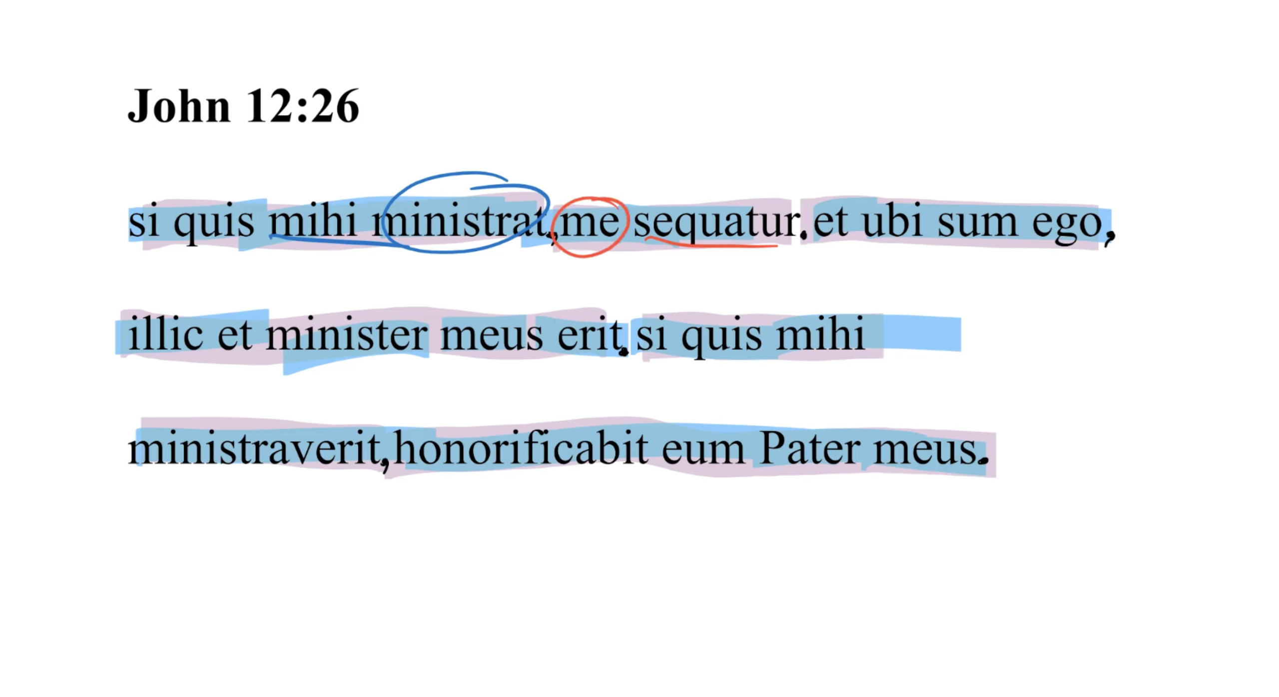 John 12:26 Latin Vulgate