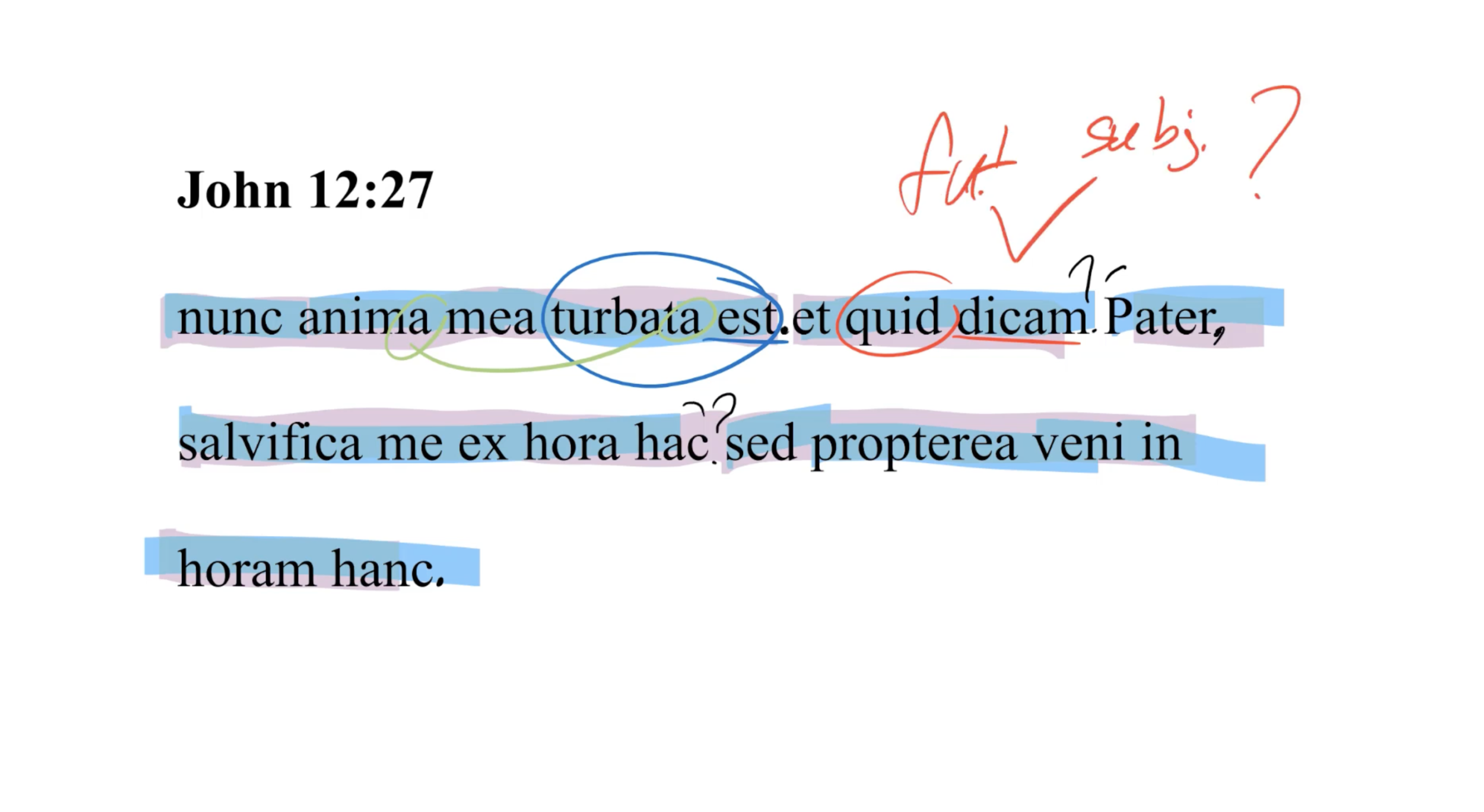 John 12:27 Latin Vulgate