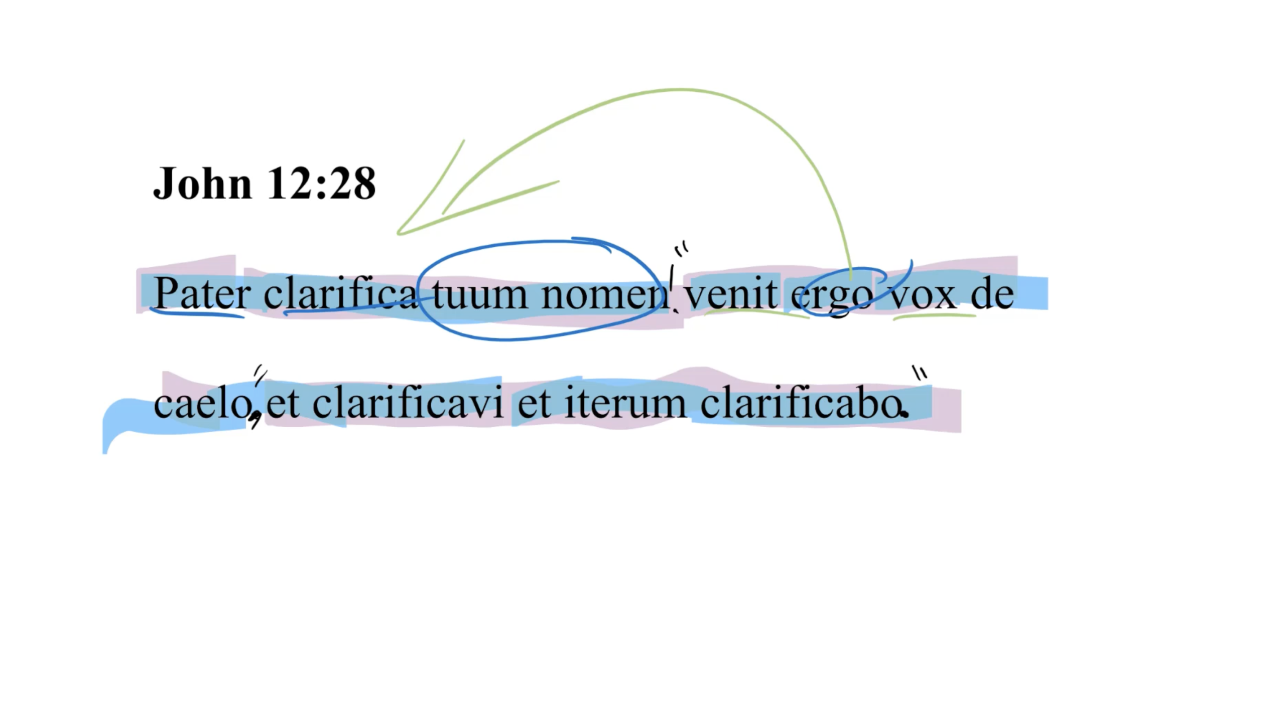 John 12:28 Latin Vulgate