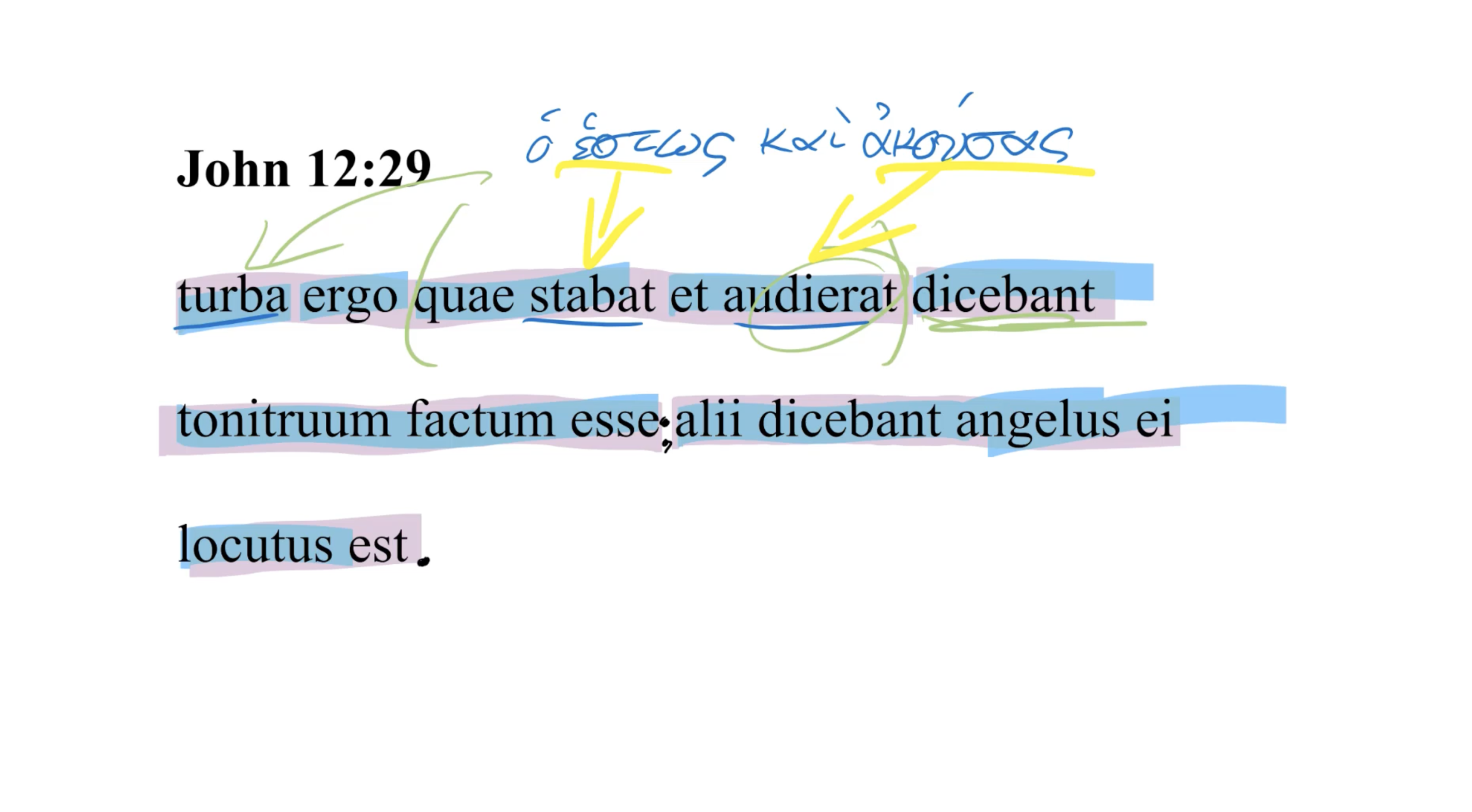 John 12:29 Latin Vulgate