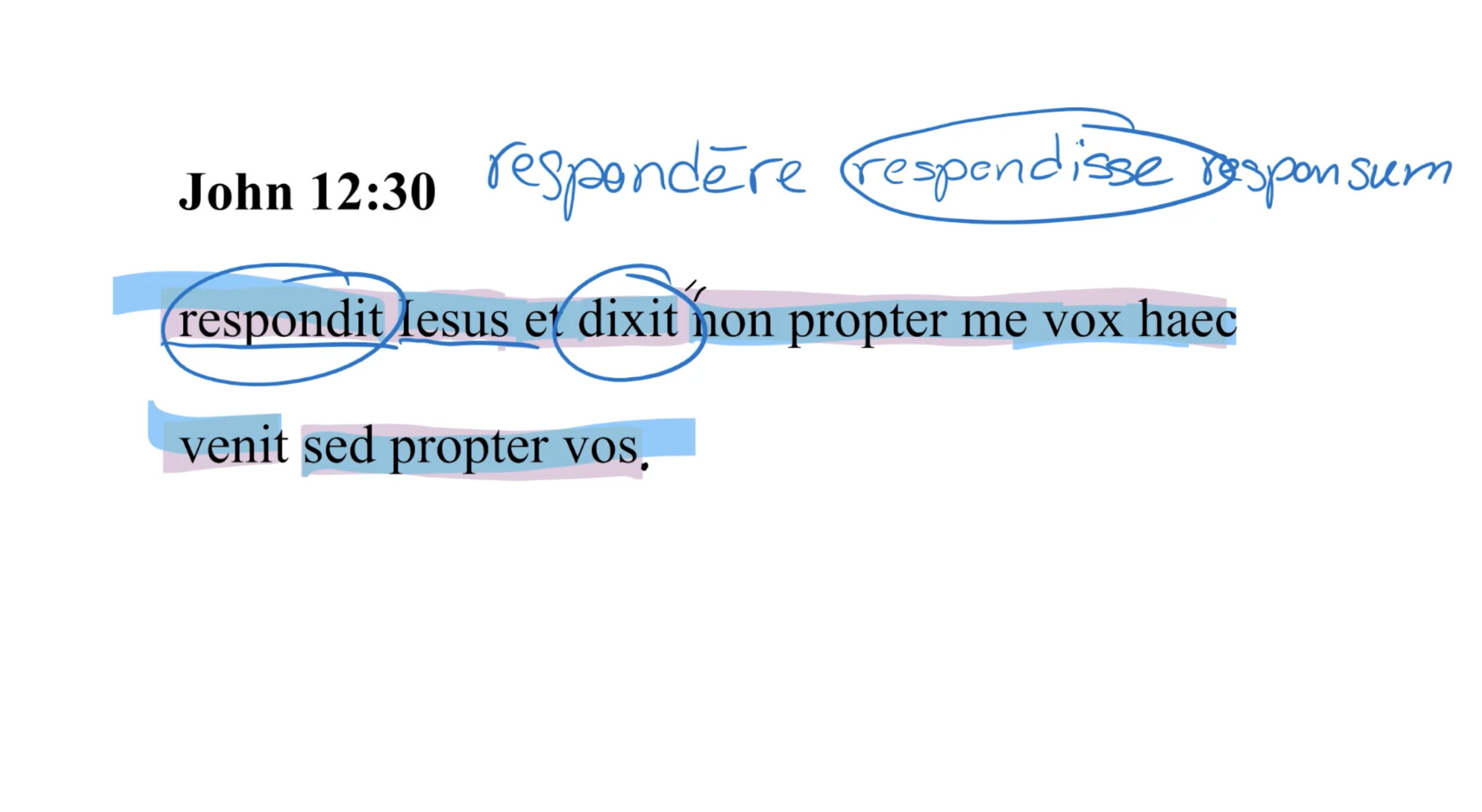 John 12:30 Latin Vulgate