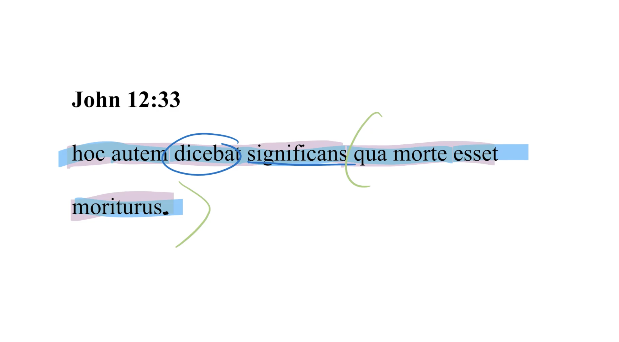 John 12:33 Latin Vulgate