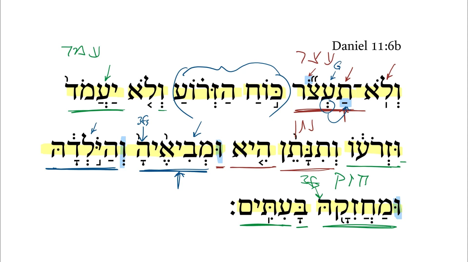 Daniel 11:6b