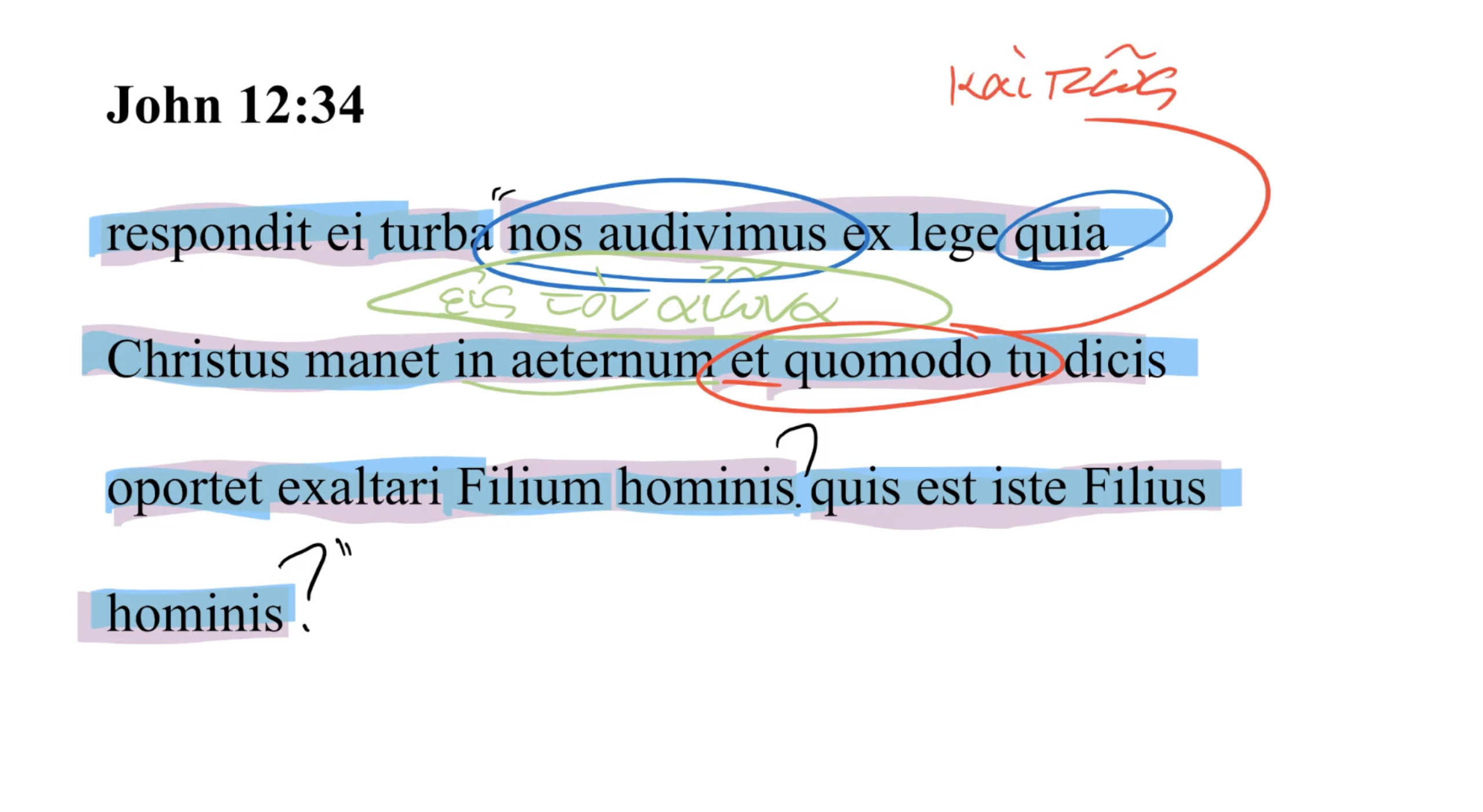 John 12:34 Latin Vulgate