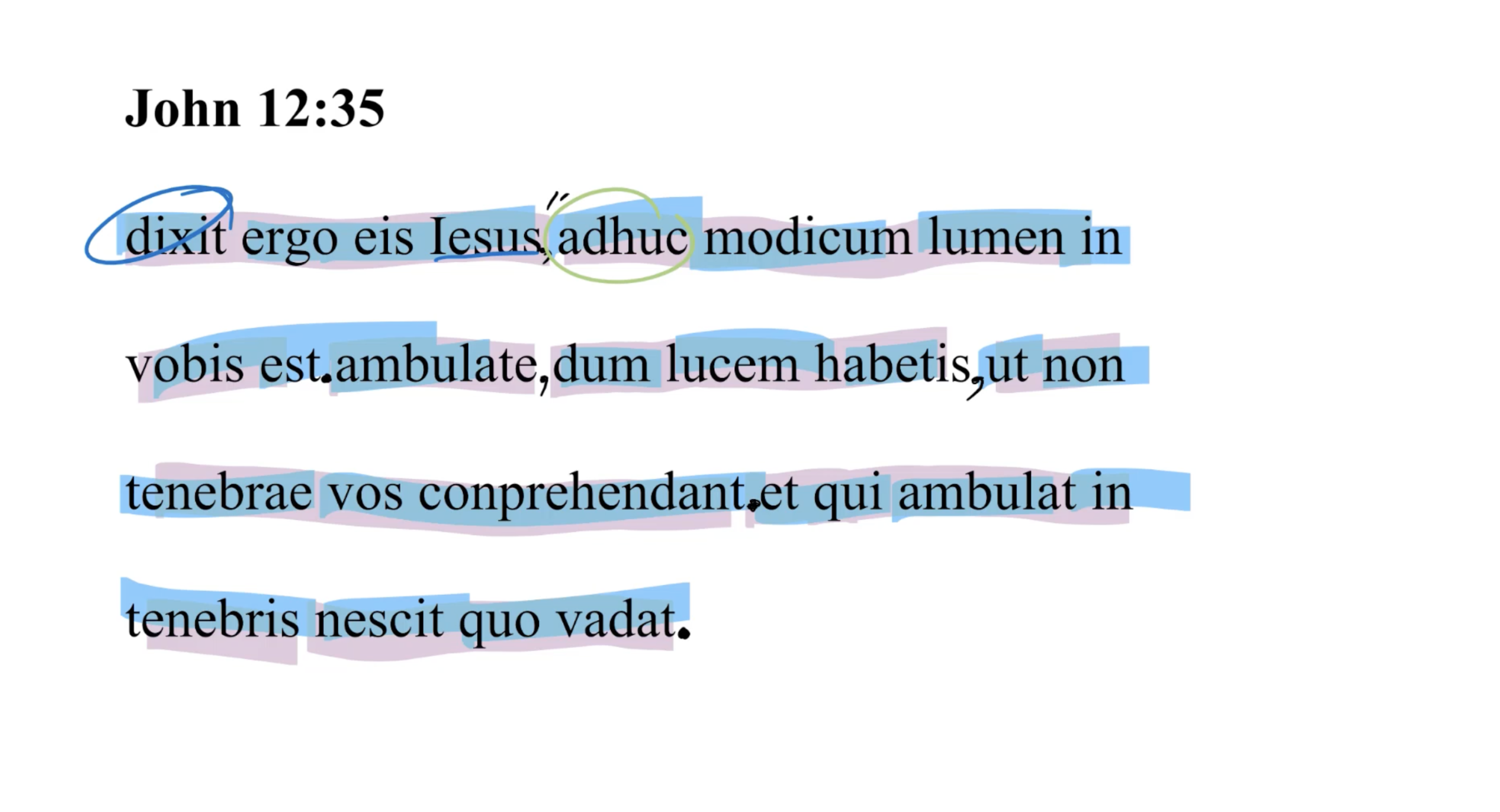 John 12:35 Latin Vulgate