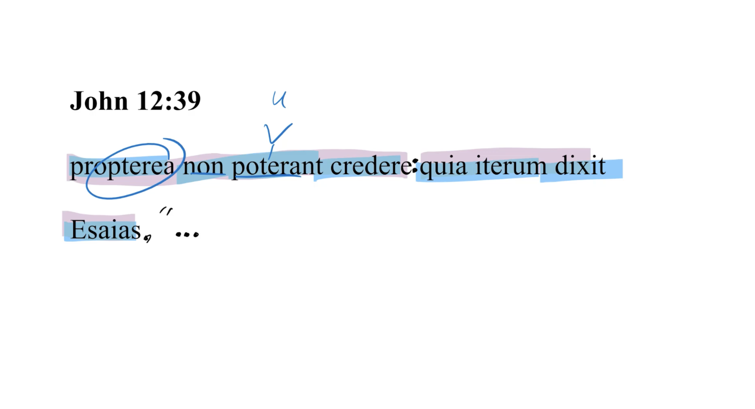 John 12:39 Latin Vulgate