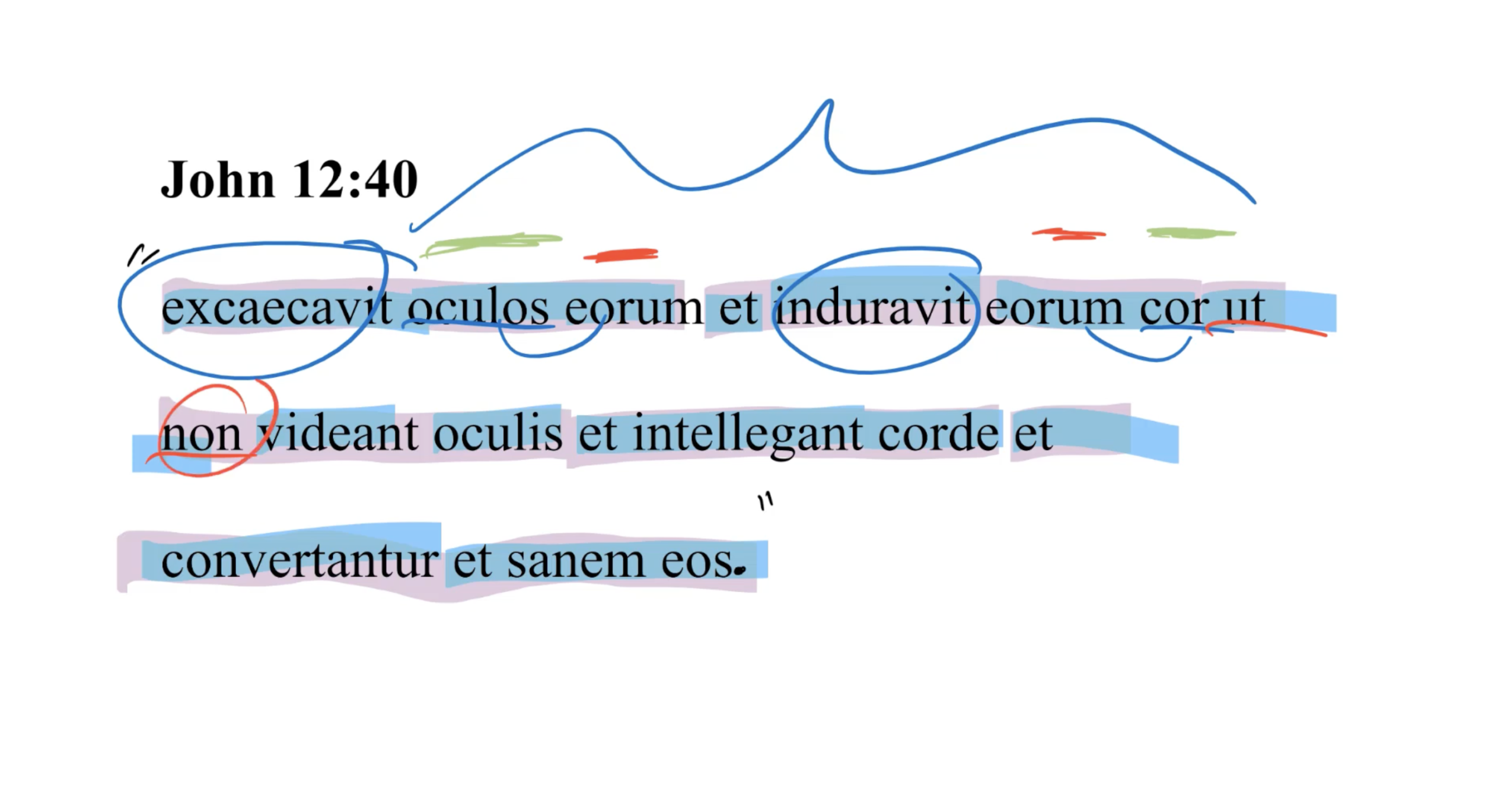 John 12:40 Latin Vulgate