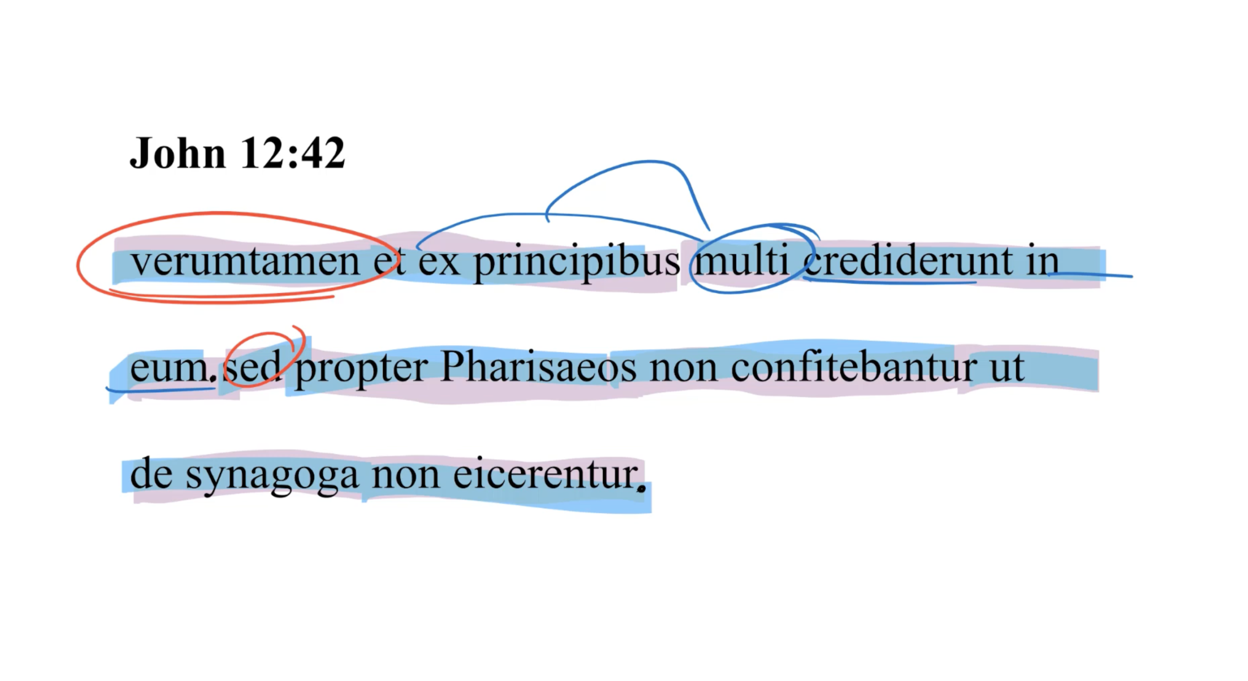 John 12:42 Latin Vulgate