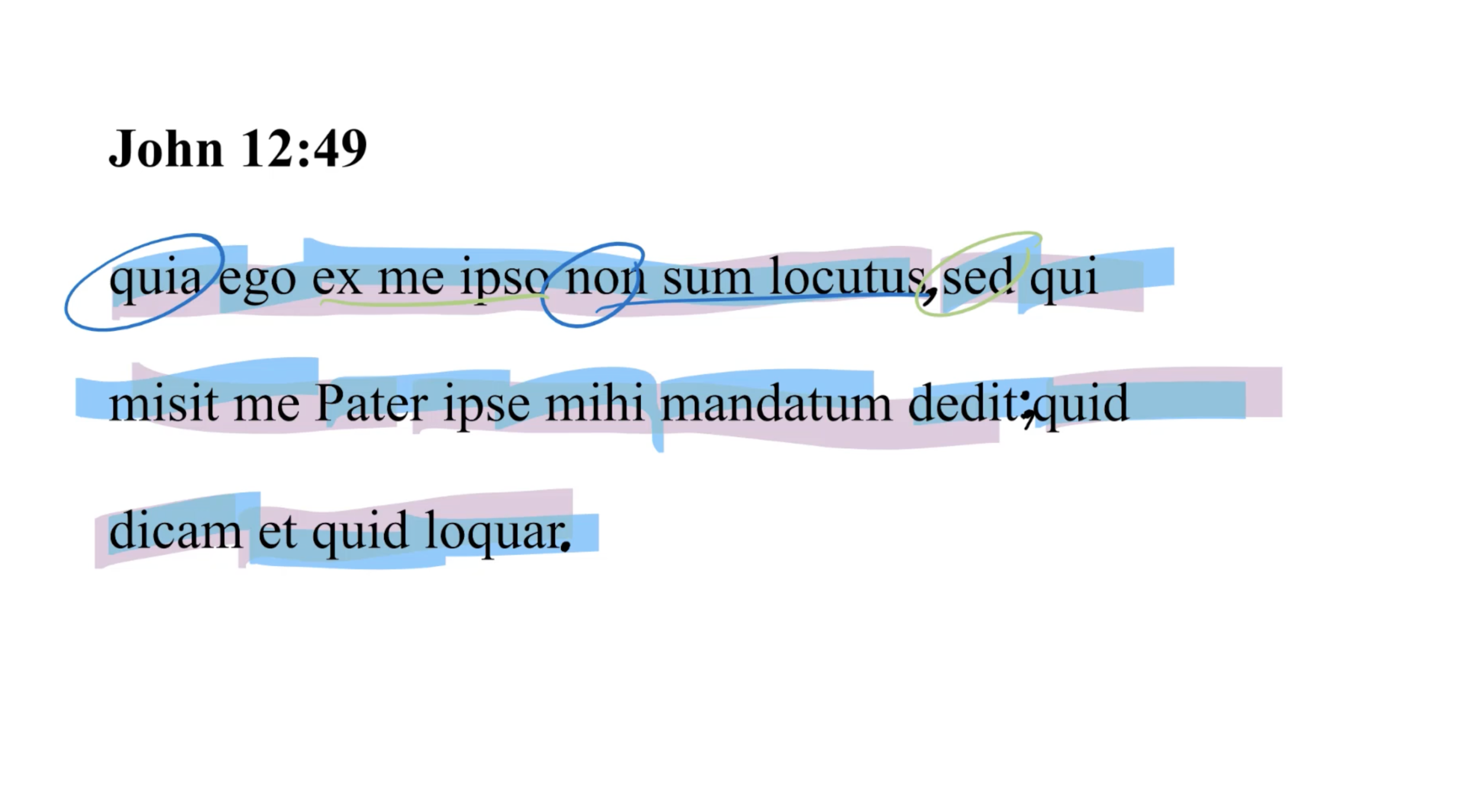 John 12:49 Latin Vulgate