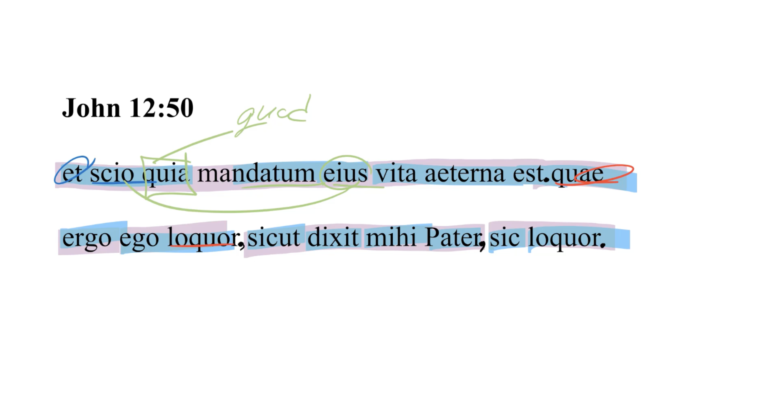 John 12:50 Latin Vulgate