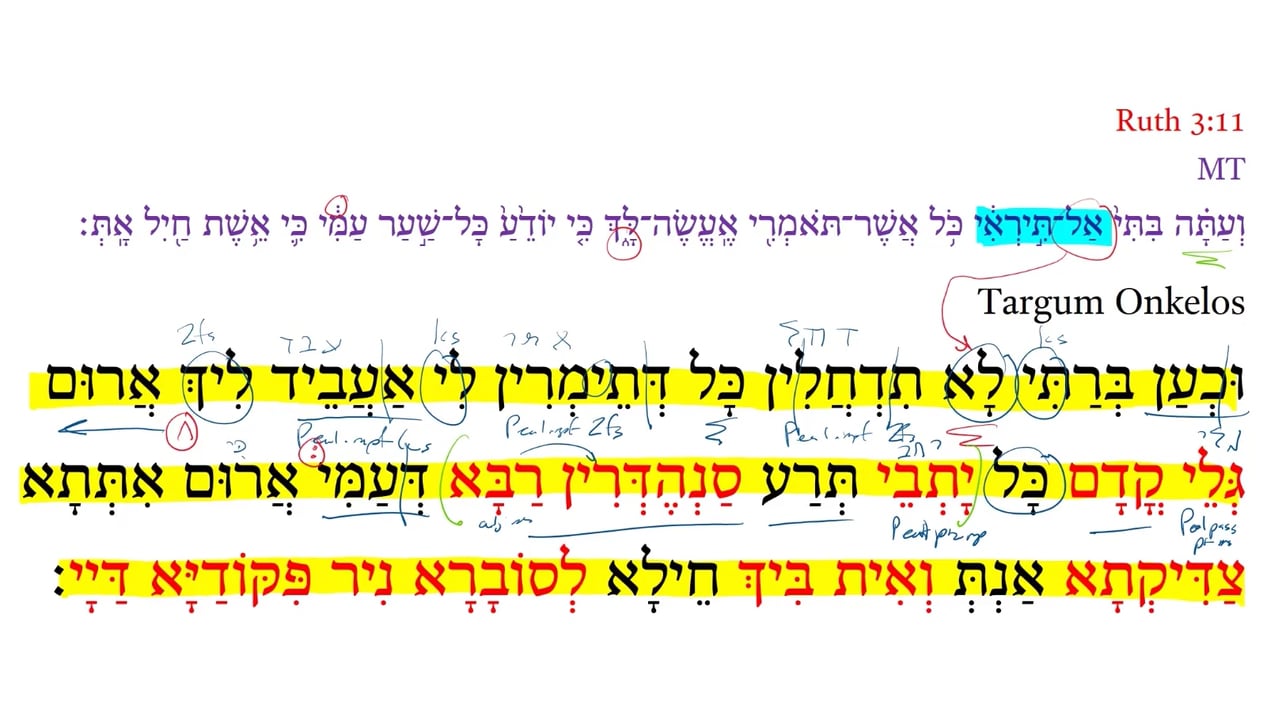TR Ruth 3:11b