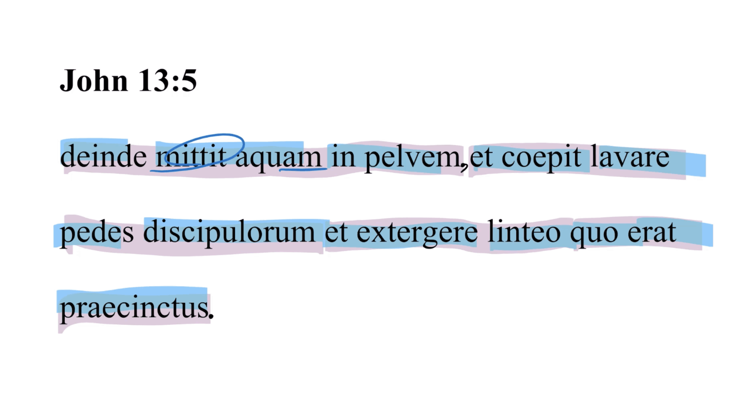 John 13:5 Latin Vulgate