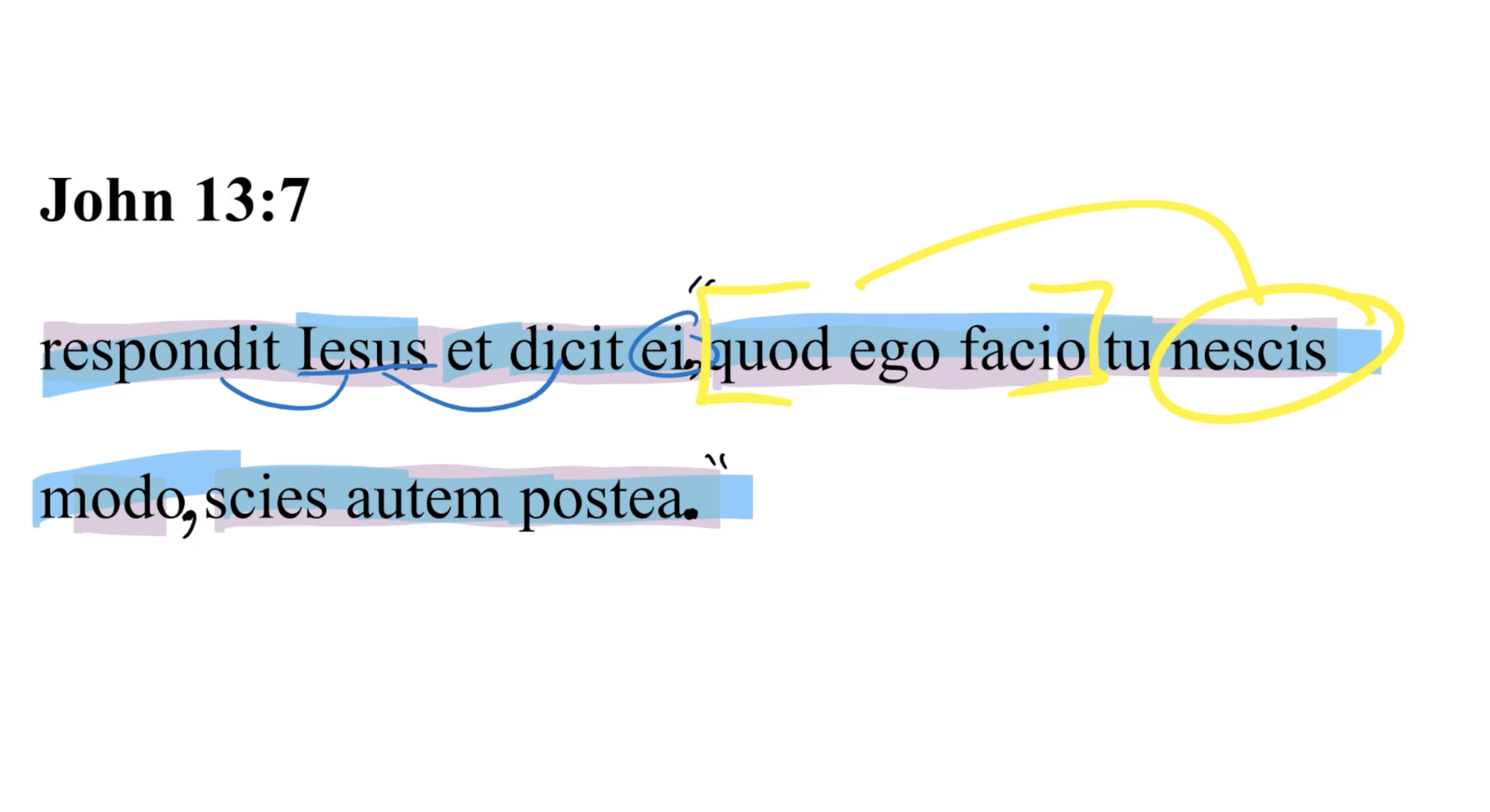 John 13:7 Latin Vulgate