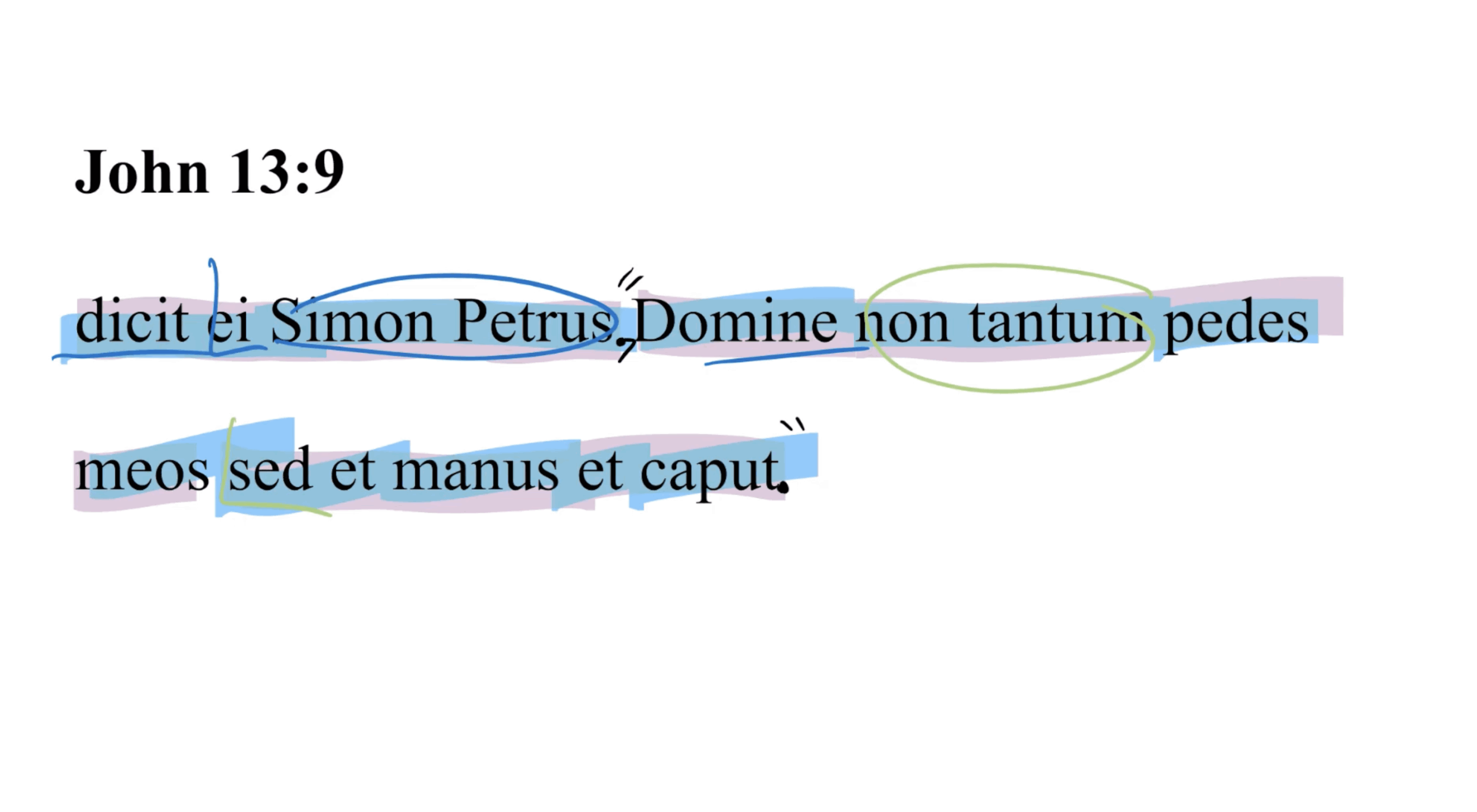 John 13:9 Latin Vulgate