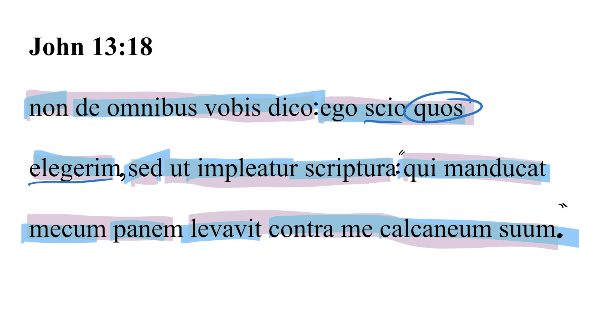 John 13:18 Latin Vulgate